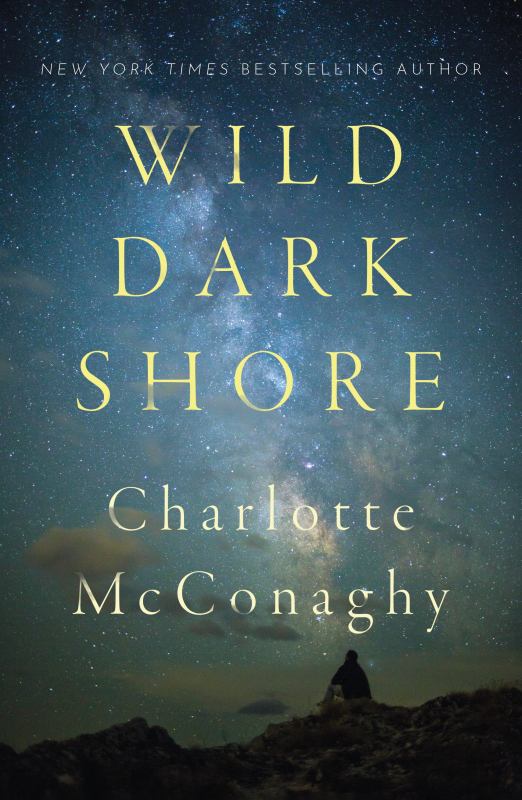 Cover of Wild Dark Shore